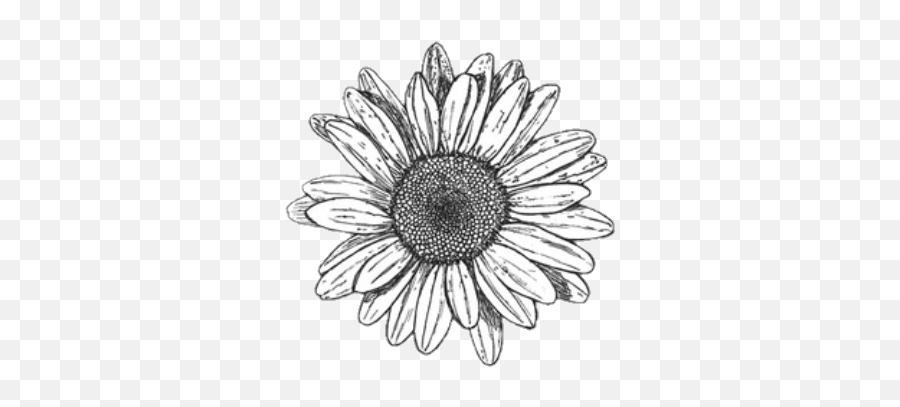 Flower Black White Tumblr Sad Why - Black And White Flower Png Emoji,Black And White Flower Emoji