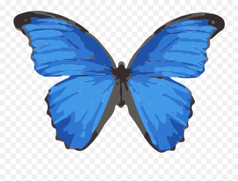 Shop All U2013 Brittany Allen Emoji,2 Blue Butterfly Emojis