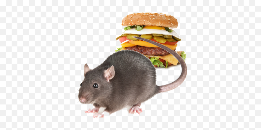 Burger Rats By Gias Ahmed Emoji,Rats Emoji