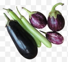 Hd Eggplant Background Png Transparent Background Free Emoji,Eggplatn Emoji