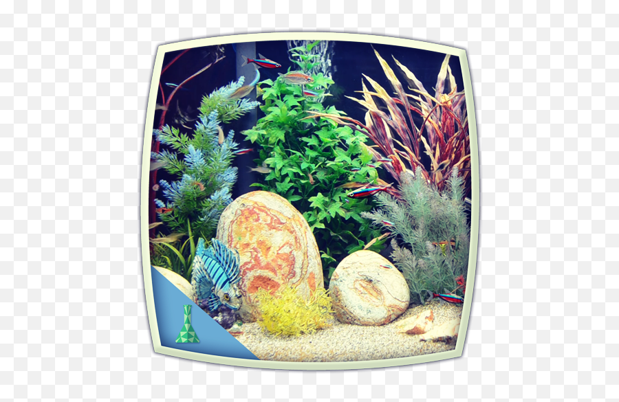 Colourful Tank - Artificial Aquarium Plant Emoji,Girls Emoji Tank