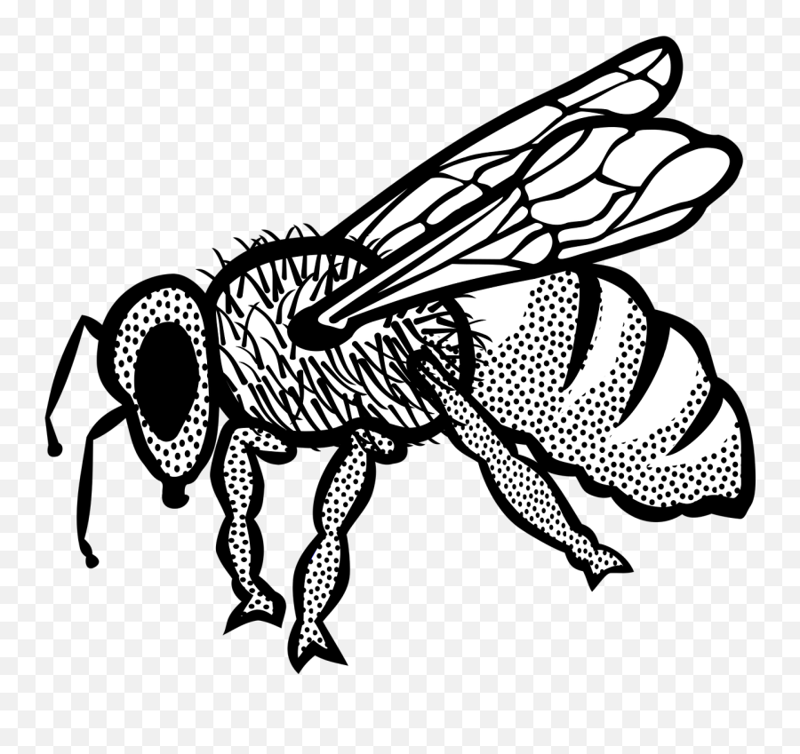 Honey Bee Clip Art - Insect Png Download 12801151 Free Ar Çizimi Emoji,Honey Bee Emoji