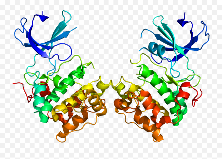 P70 - S6 Kinase 1 Wikipedia S6k Structure Emoji,Meanings Of Emojis On A S6