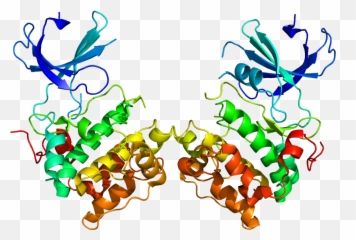 P70 - S6 Kinase 1 Wikipedia S6k Structure Emoji,Meanings Of Emojis On A S6