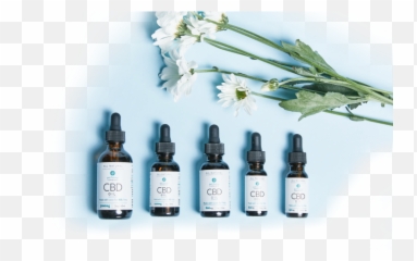 Cbd Dosage Chart For Dogs Cats - Pet Hemp Company Glass Bottle Emoji,Emotion Chart Using Dogs