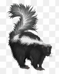 Striped Skunk Clipart - Skunk Transparent Png Emoji,Skunk Emoji