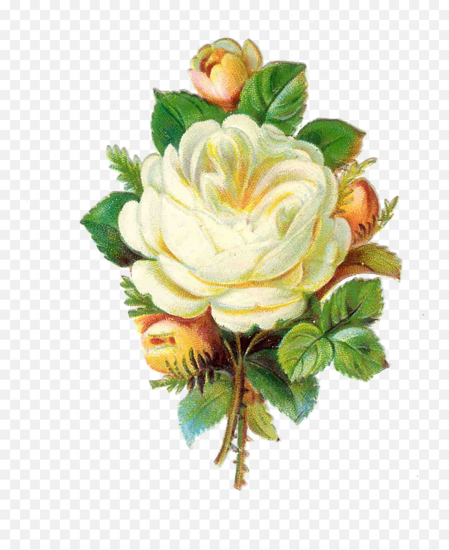 Free Yellow Rose Png Download Free Clip Art Free Clip Art - Vintage White Rose Png Emoji,Yellow Rose Emoji