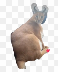 Discover Trending Dik Stickers Picsart Emoji,Cat Emojis Xat