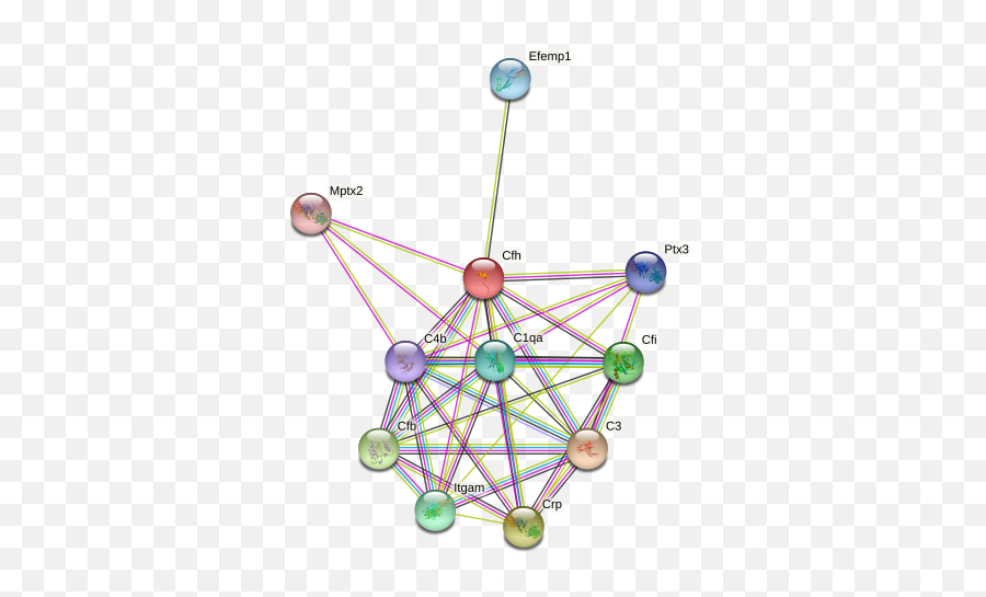 Cfh Protein Mouse - String Interaction Network Emoji,Slp Visual Supports Emotion Scale