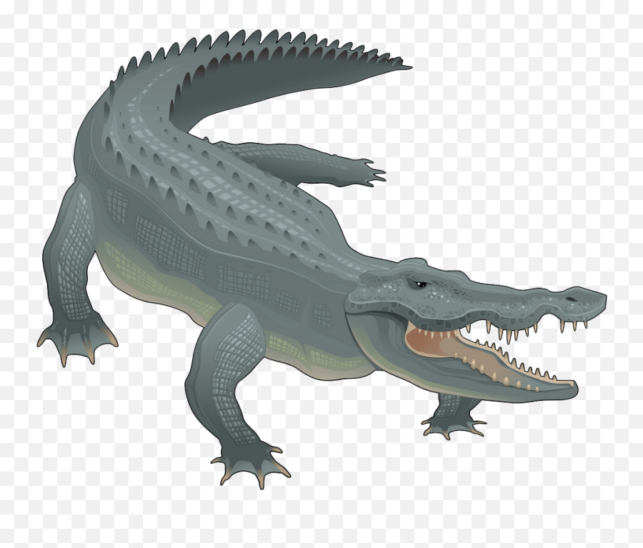 Cute Alligator Clipart Png - Clipart World Emoji,Aligator Emoji