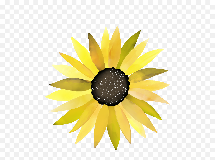 Gallery Emoji,Sunflowet Emoji