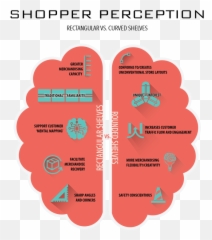 Curves - Vertical Emoji,Emotion Beauty Supply Shopper