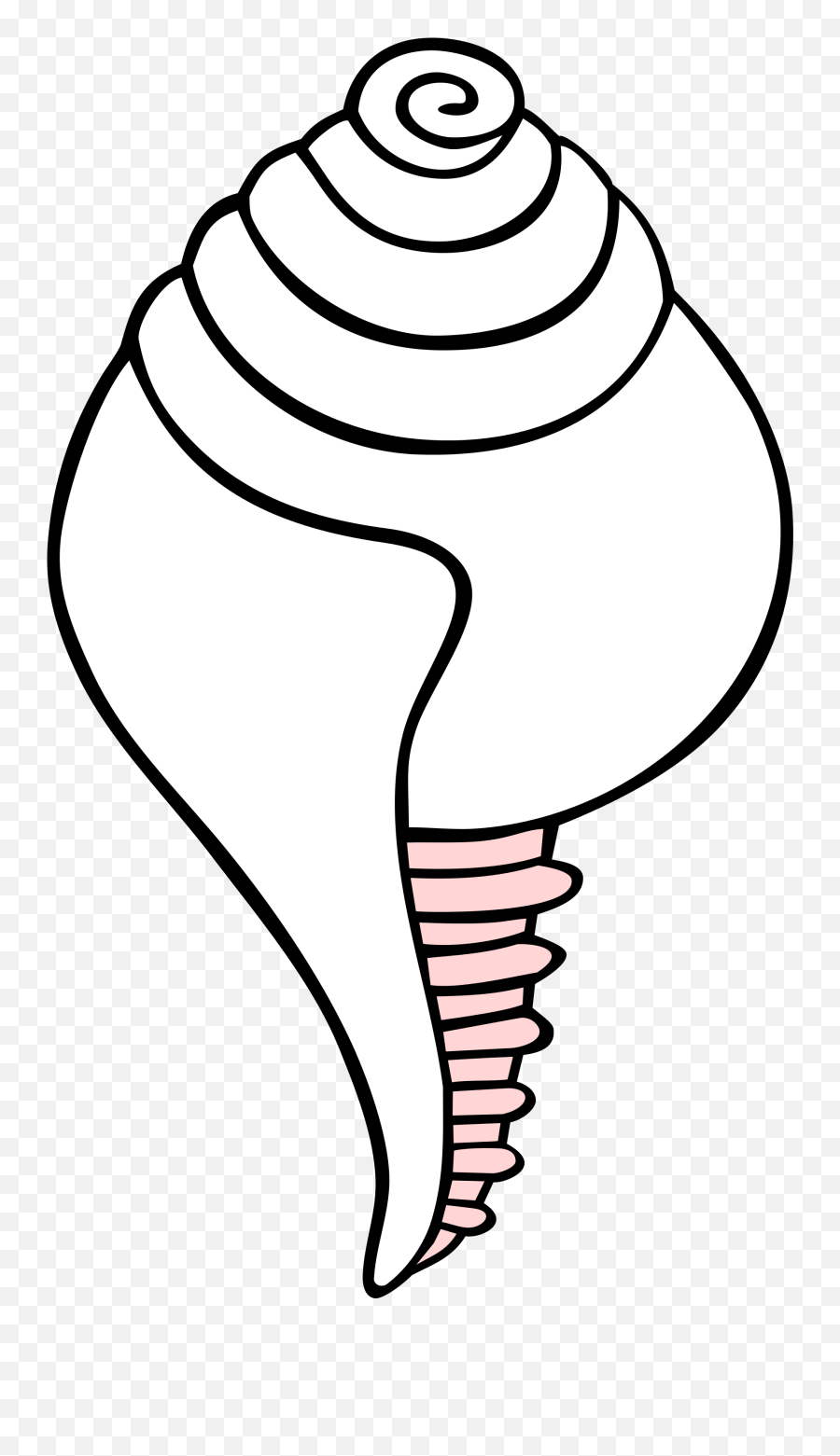 Shell Clipart Conch Shell Conch - Outline Image Of Conch Emoji,Conch Shell Emoji