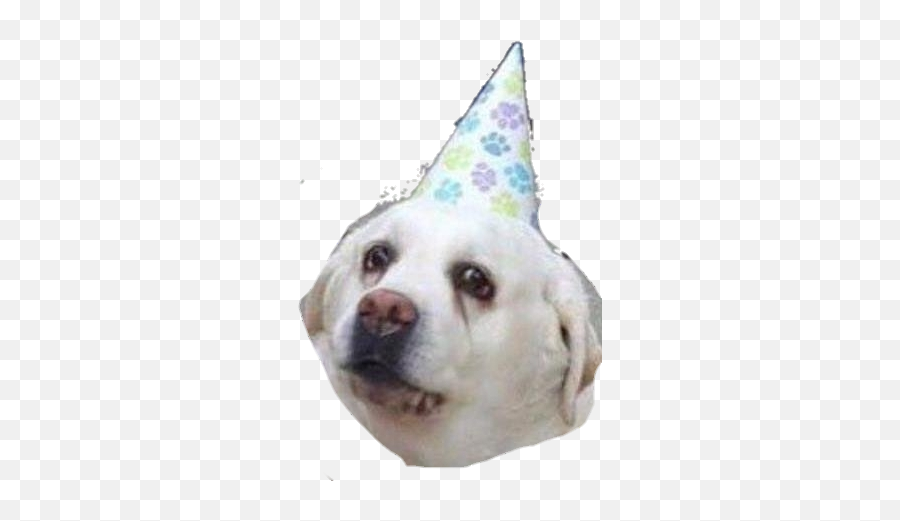 Doggo2 - Birthday Emoji,Doggo Emoji