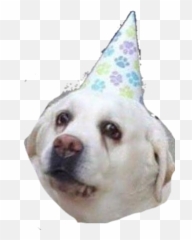 Doggo2 - Birthday Emoji,Doggo Emoji