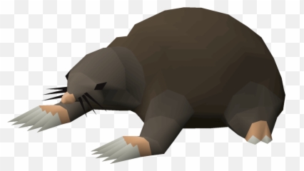 Money Making Guide Osrs Archives Coin Gigant - Earn By Osrs Mole Rat Emoji,Emoji Level38