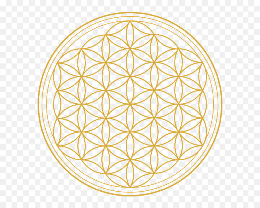 How To Use Natural Amethyst To Crush Stress Cosmic Cuts - Flower Of Life Gold Png Emoji,Emotion Crystal Turns Purple