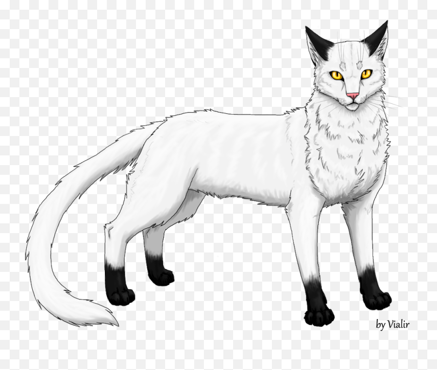Examining Cats That People Ship Blackstar With By Vaporpaw - Blackstar Warrior Cats Emoji,Cats Emotion Pictures