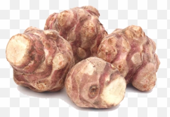 Ginger - Clip Art Library Jerusalem Artichoke Png Emoji,Artichoke Emoticon