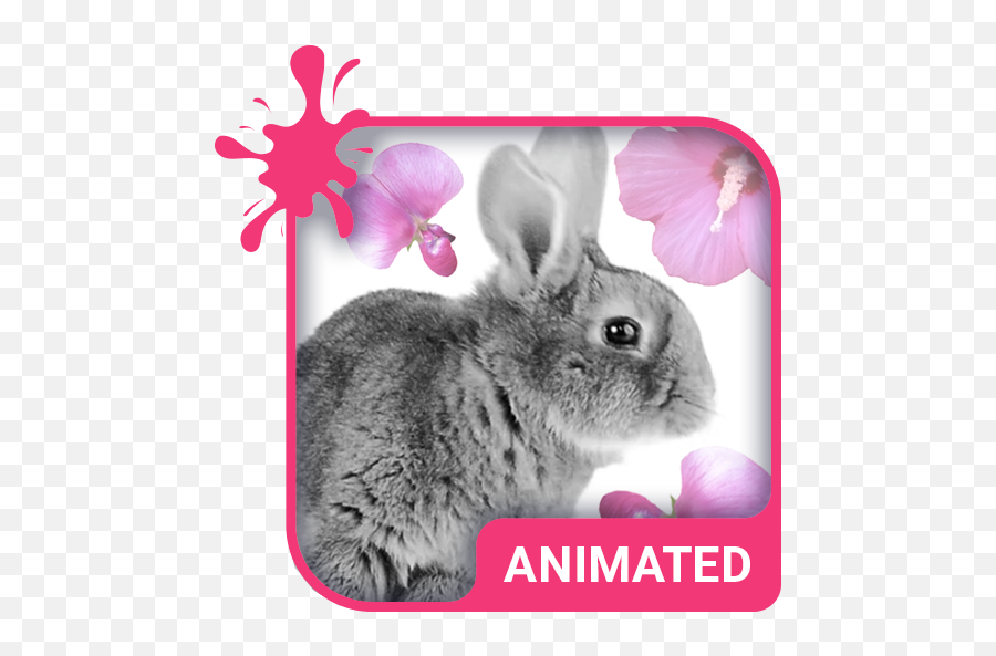 Cute Bunny Animated Keyboard - Android Emoji,Bunny Sms Emoticon