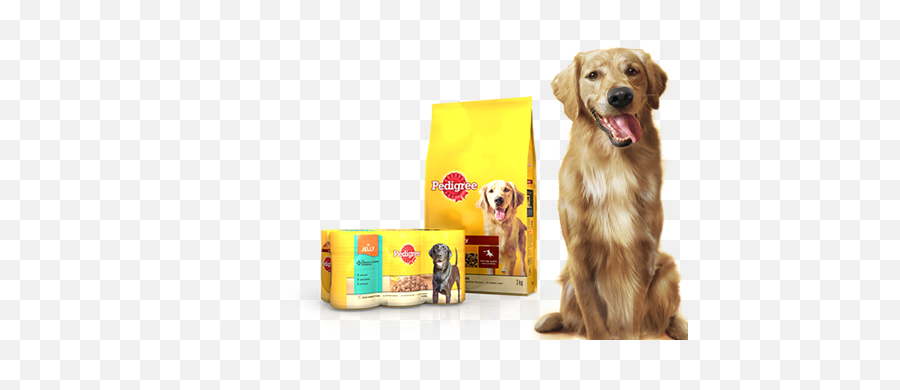 Pedigree Dog Food May Be Endangering Your Pet Yet No Recall - Dog Eating Pedgree Food Emoji,How To Get Unicorn Emoji On Samsung Jd 3