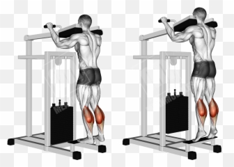 Fat Burning Circuit Workout For Men - Calf Raises Emoji,Gym Emotion Lever