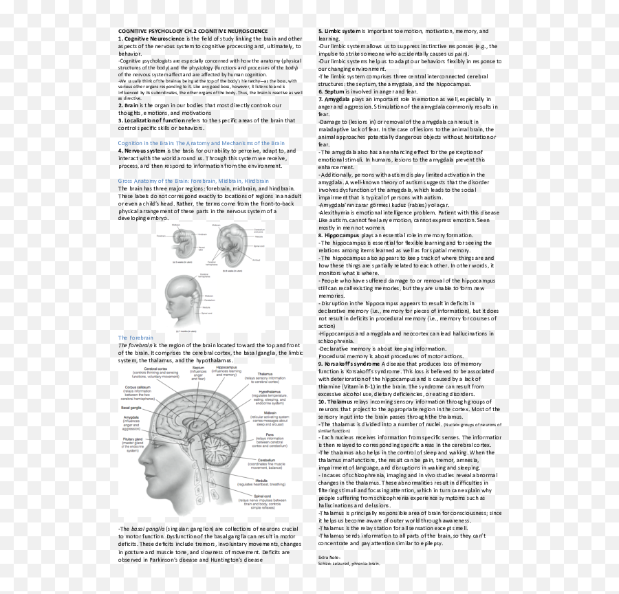 Pdf Cognitive Psychology - Cognitive Neuroscience Saliha Hair Design Emoji,Hypothalamus Emotions