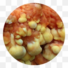 Aggregation A Tasting Menu - Whitechapel Gallery Emoji,Pine Nuts And The Full Spectrum Of Human Emotion