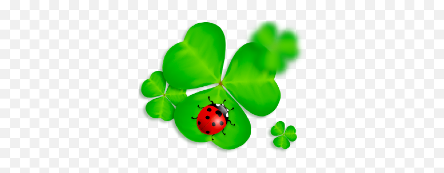 Wwwsazkaczlosyvip - Kralicek Seo Review Emoji,Green Shamrock Emoticon For Facebook