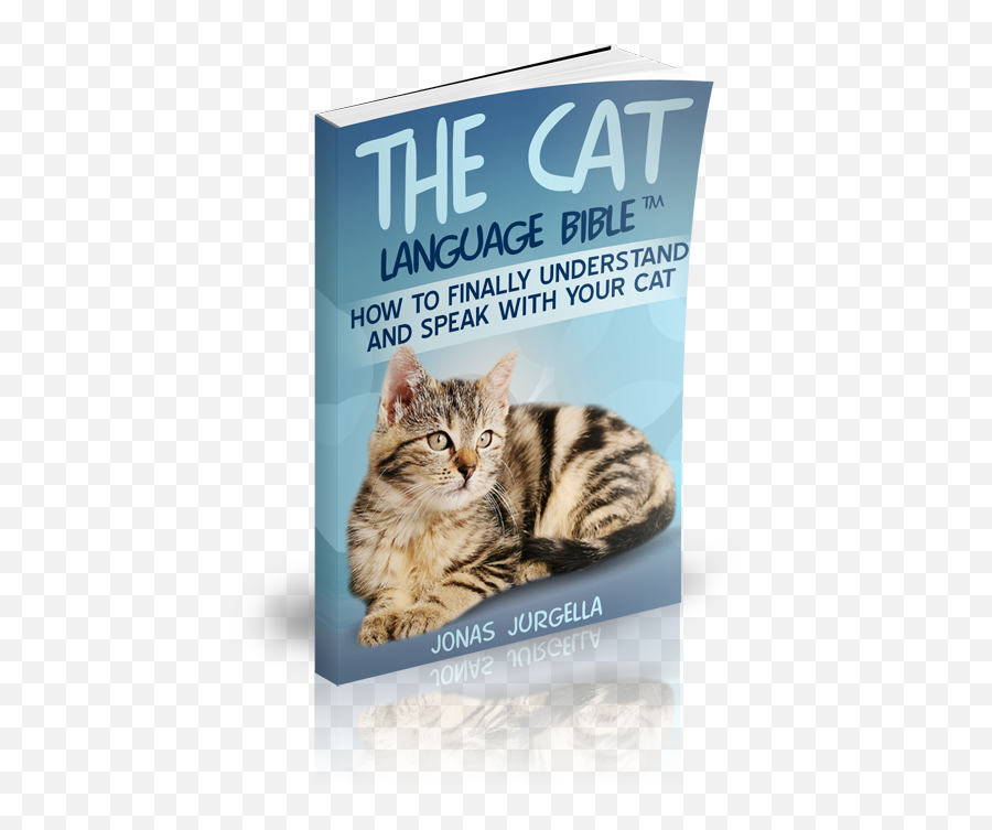 The Cat Language Bible - Kitty In The Nest Painting Black And White Emoji,Cat Emotions And Body Language