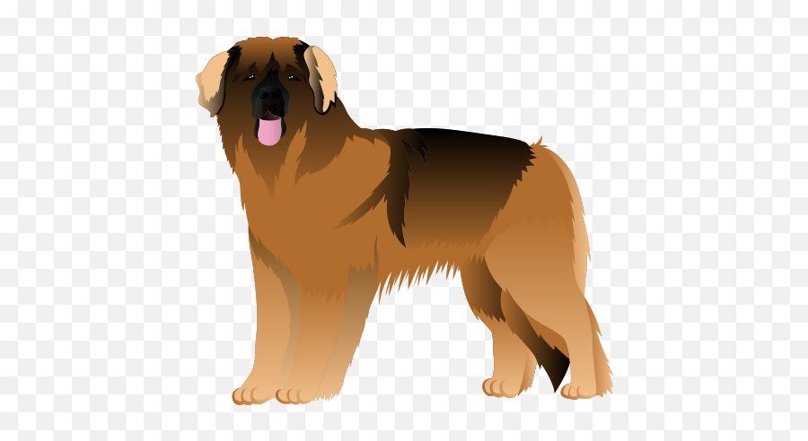 Hanodu Polafe - Leonberger Cartoon Emoji,Bernese Mountain Dog Emoji