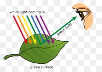 Color Studies - Colour Reflection Emoji,Artists That Use Colour And Emotion