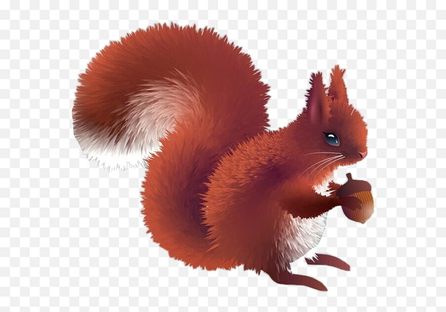 Squirrel Animals Cute Cuteanimal - Animal Figure Emoji,Red Squirrel Emoji