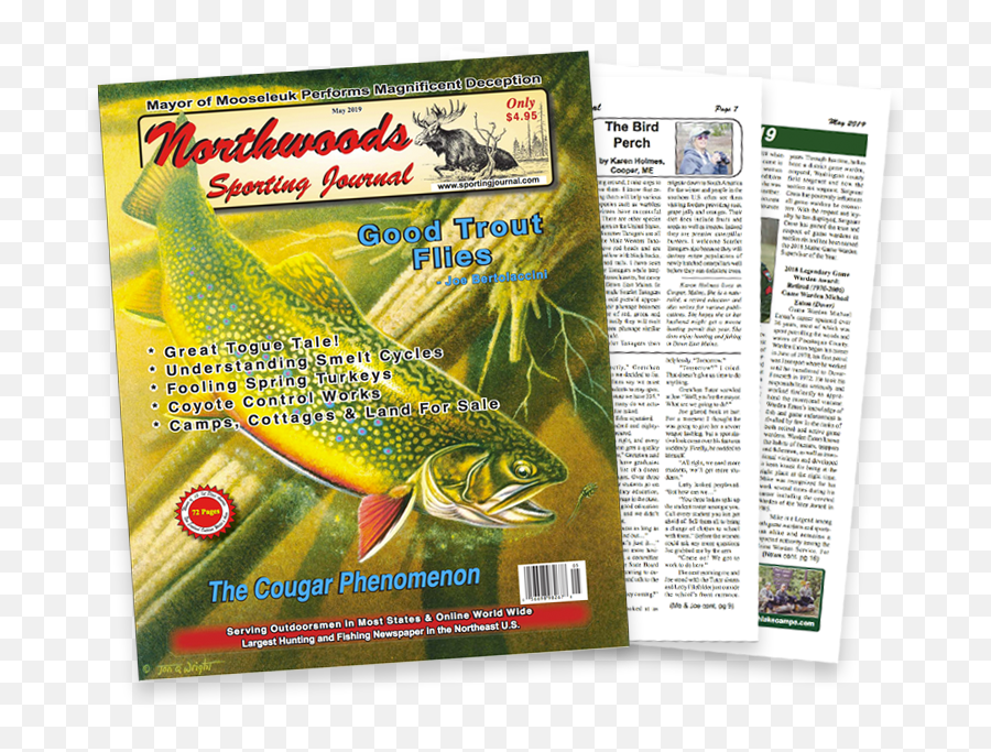 Hunting U0026 Fishing Magazine Northwoods Sporting Journal - Trout Emoji,Emotion Mojo Angler Review