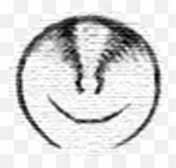 Nevienc On Twitter Billy Joel - We Didnu0027t Start The Fire Happy Emoji,Fire Emoticon