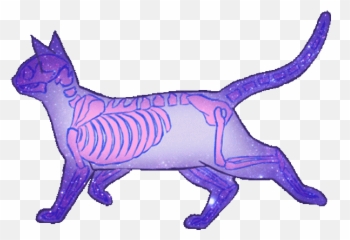 El - Destinos On Tumblr Cat Aesthetic Gif Walking Png Emoji,Emotions Tumblt