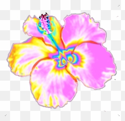 Hibiscus Flower Hawaii Tropics Sticker - Hawaiian Hibiscus Emoji,Hibiscus Emoji