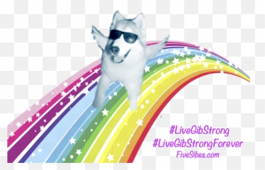 January 2016 - Cartoon Rainbow Transparent Emoji,Husky Stages Of Emotion