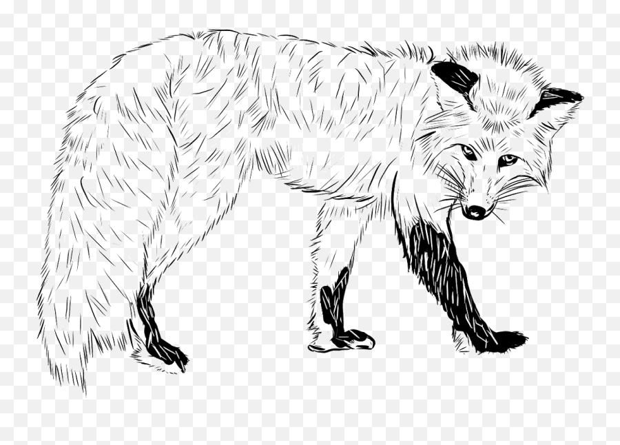 Red Fox Clipart Free Download Transparent Png Creazilla - Realistic Fox Coloring Page Emoji,Arctic Fox Laughing Emoji
