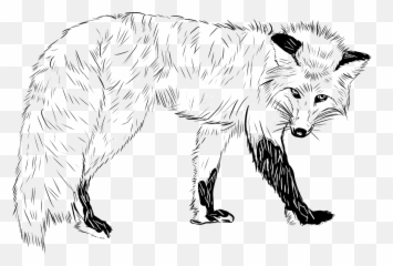 Red Fox Clipart Free Download Transparent Png Creazilla - Realistic Fox Coloring Page Emoji,Arctic Fox Laughing Emoji
