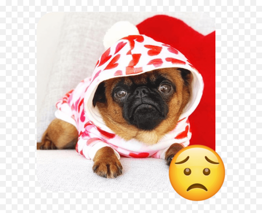 World Emoji Day - Dog Clothes,Sad Cowboy Emoji
