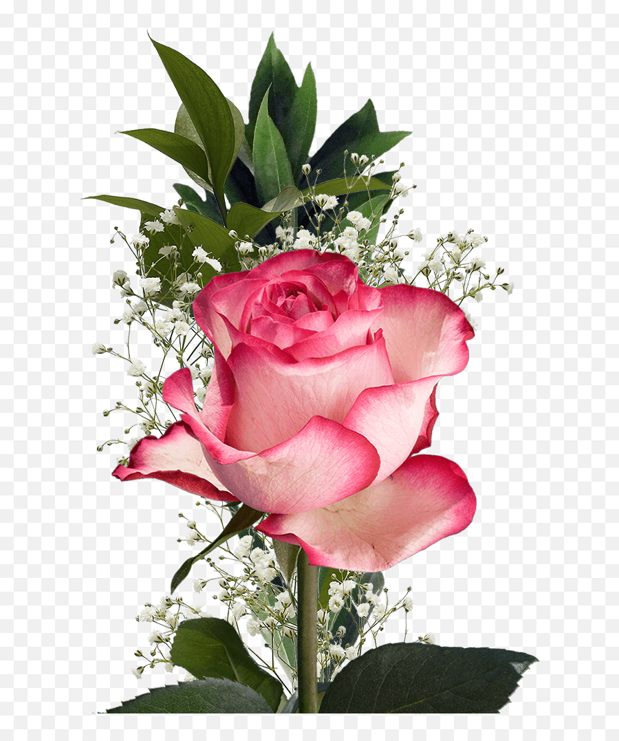 Single Flower Bouquet Assorted Color Roses And Fillers For Valentineu0027s Day - Dance Recital Flowers Emoji,Keyboard Emoticons Flower