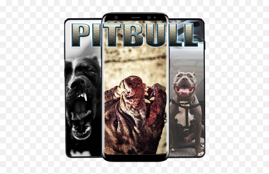 Pitbull Dog Wallpaper Latest Version - Fictional Character Emoji,Emojis Of Pitbull