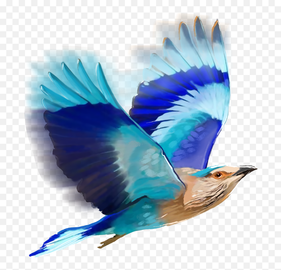 Blue Bird Flyng Sticker - Editing Birds Png For Picsart Emoji,Blue Bird Emoji
