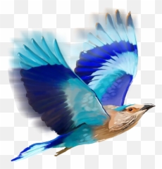 Blue Bird Flyng Sticker - Editing Birds Png For Picsart Emoji,Blue Bird Emoji