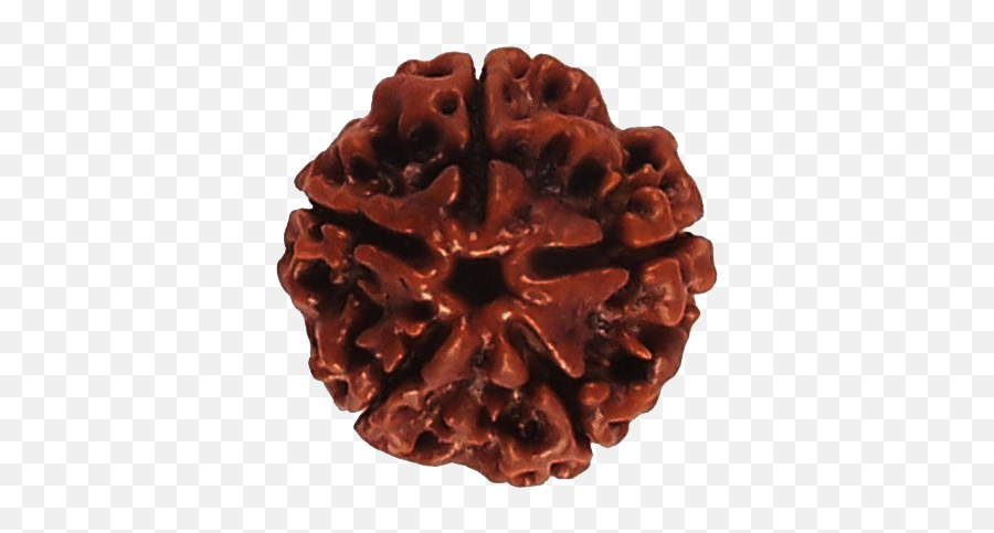 Rudraksha - Uses And Benefits Birthastrocom Emoji,An Aquaris With Tons Of Emotions