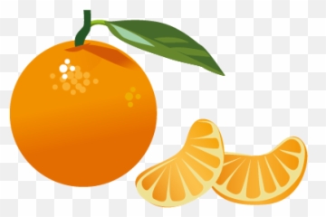 Clémentine De Corse Igp Bio 640gr Emoji,Citrus Emoji