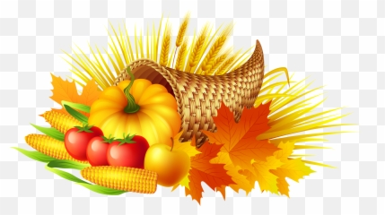 Thanksgiving Pumpkin Decorating Element - Transparent Background Cornucopia Png Emoji,Emoji Pumpkin Decorating