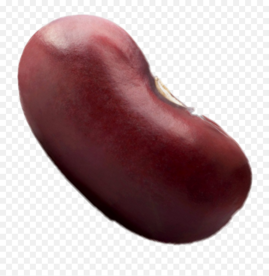 1977 Glorious Fucking Bean Sticker By Dismalshepherd - Fresh Emoji,Kidney Emoji