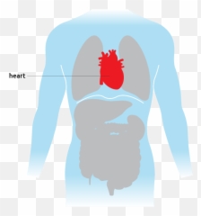 Heart - Language Emoji,Loveshack.org Heart Emojis Emotional Affair?